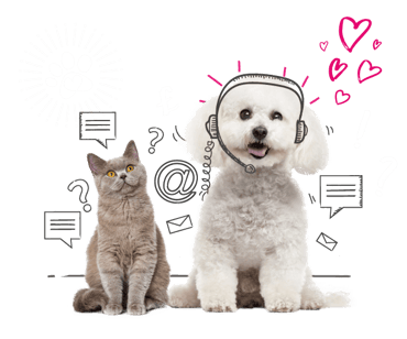 Photo illustration of a cat and a dog