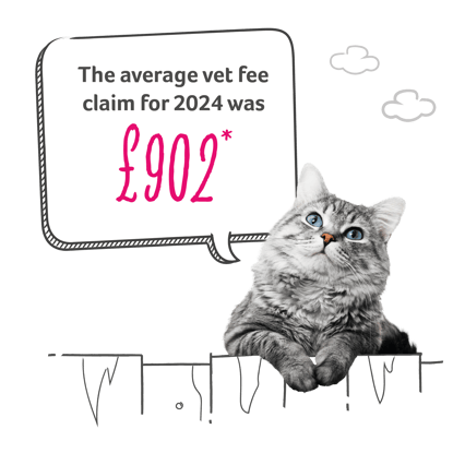 Cat with speech bubble that reads “The average claim for 2024 was £902*”
