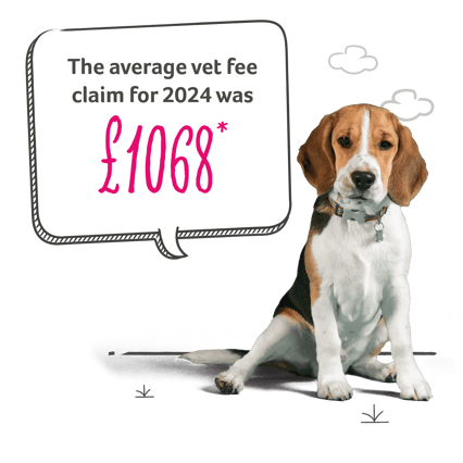 Dog with speech bubble that reads “The average claim for 2024 was £1068*”