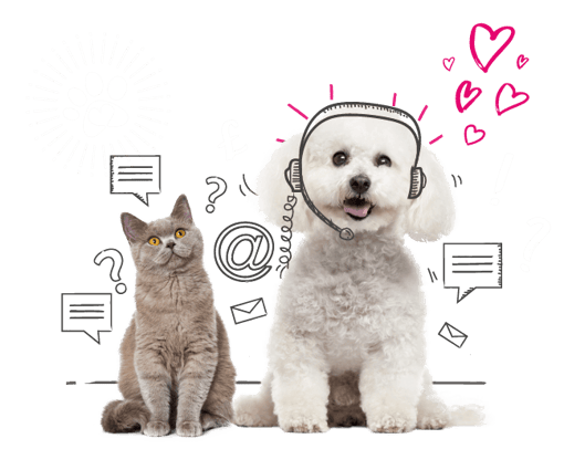 Photo illustration of a cat and a dog
