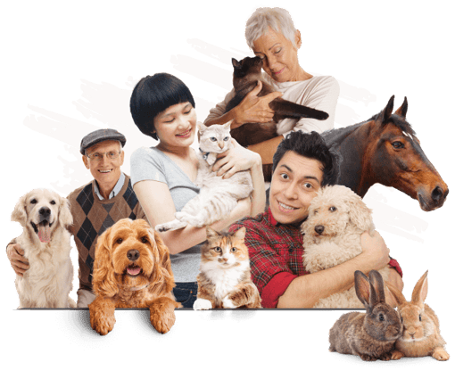 A collection of customers holding their pets. 