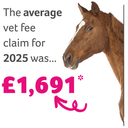 Horse Average Vet Fees 2025