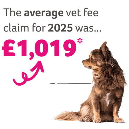 Dog Average Vet Fees 2025