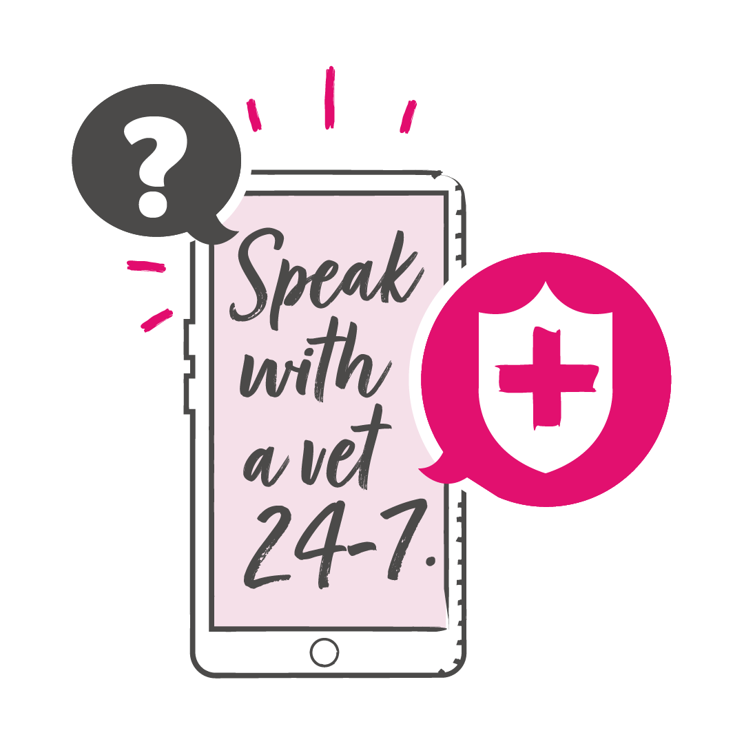 Illustration of a phone with the words "speak with a vet 24/7" written on screen. 